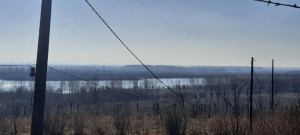 thumb_3500922_2.jpg