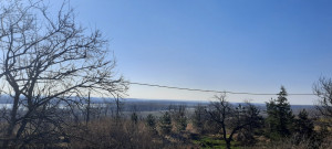 thumb_3500922_4.jpg