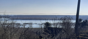 thumb_3500922_5.jpg