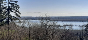 thumb_3500922_6.jpg