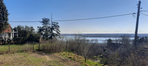 thumb_3500922_7.jpg