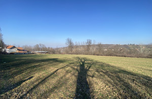 thumb_3500960_img_1821.jpeg