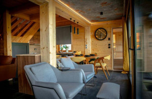 thumb_3503191_mountain-view-lodge-1-i-2-11.jpg