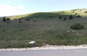 thumb_3504064_img_6274.jpeg