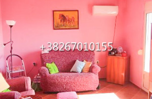 thumb_3506968_8.jpg