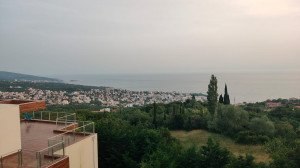 thumb_3507106_8.jpg