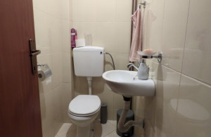 thumb_3507875_img_7231.jpeg