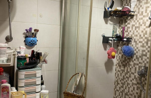 thumb_3508176_img_8864.jpeg