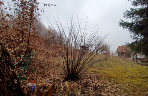 thumb_3508922_2.jpg