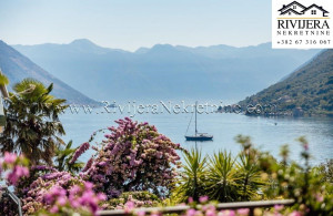 thumb_3510586_a_nekretnine_oglasi_ads_morinj_kotor_apartment_stan_--1-.jpg