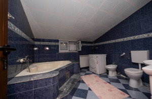 thumb_3510635_e057b971-f2bb-42e3-9329-611c9819fcf6.jpeg