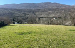 thumb_3513576_img_9830.jpeg