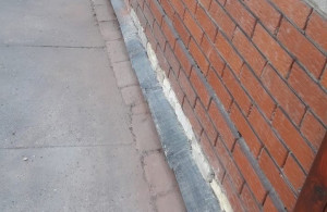 thumb_3515619_img_5559.jpeg