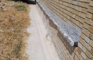 thumb_3515619_img_5562.jpeg