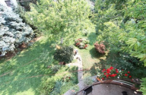 thumb_3516937_baje-pivljanina2.jpg