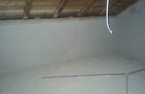 thumb_3517051_img_8991.jpeg