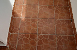 thumb_3518019_8.jpeg