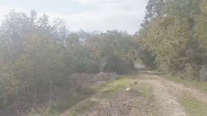 thumb_3520631_2.jpg