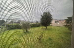 thumb_3520712_img_4839.jpg