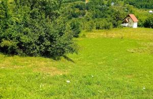 thumb_3522141_sablon-prodaja_20250317_151422_0002.jpg