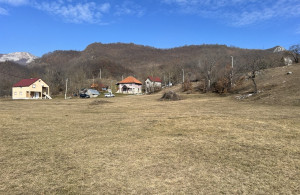 thumb_3522428_5.jpg