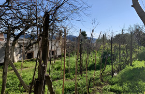 thumb_3523232_10.jpg
