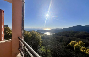 thumb_3524136_nt_with_stuuning_sea_views_above_jaz_beach_budva_13785_8.jpg