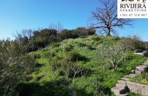 thumb_3524214_tnine_oglasi_ads_herce_novi_plot_land_land_plot_plac--6-.jpg