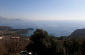 thumb_3525175_photo_2_2025-03-21_15-09-02.jpg