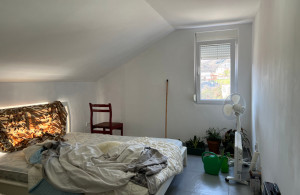 thumb_3525254_photo_5_2025-03-21_18-31-25.jpg