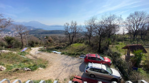 thumb_3525255_photo_8_2025-03-21_18-36-33.jpg