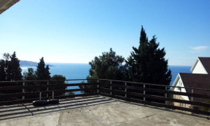 thumb_3525287_photo_10_2025-03-21_19-36-52.jpg