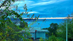 thumb_3525292_photo_9_2025-03-21_19-47-18.jpg