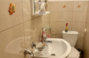thumb_3525448_img_0237.jpeg