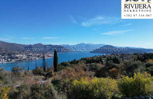 thumb_3528609_etnine_oglasi_ads_zvinje_herceg_novi_land_land_plot_--2-.jpg