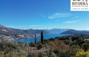thumb_3528609_etnine_oglasi_ads_zvinje_herceg_novi_land_land_plot_--3-.jpg