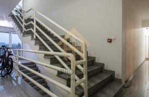 thumb_3529603_img_1151.jpg