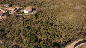 thumb_3530388_dji_20250304132019_0060_d.jpg