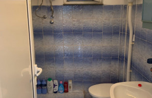 thumb_3532034_img_9767.jpg