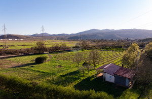 thumb_3534050_dji_20250319163905_0051_d.jpg