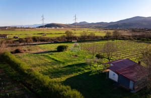 thumb_3534050_dji_20250319164646_0076_d.jpg