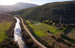 thumb_3534050_dji_20250319164841_0081_d.jpg
