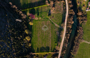 thumb_3534050_dji_20250319164921_0084_d.jpg