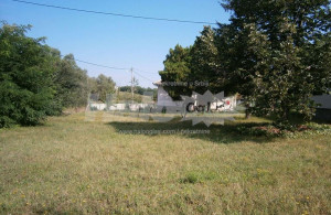 thumb_3534115_ju-kuca-u-smederevskoj-palanci-5425634455758-71787290750.jpg