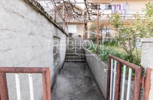 thumb_3534128_10m15.jpg