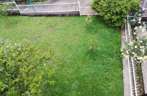 thumb_3534193_house_in_tivat1.jpg