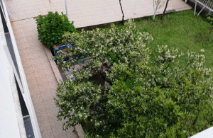 thumb_3534193_house_in_tivat5.jpg