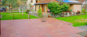 thumb_3535699_6.jpg