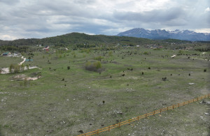 thumb_3537358_dji_20250512171344_0001_v.jpg