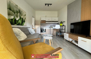 thumb_3537372_budva-lazi-kamina-agencija_3.jpg